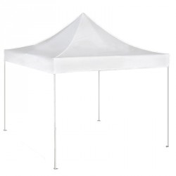 Canopy tent (roof only)